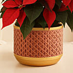 Poinsettia Plant In Wooden Vase