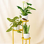 Luck and Peace Plant Stand