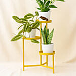 Luck and Peace Plant Stand