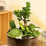 Magnificent Nature Dish Garden