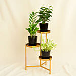 Welcome Good Luck To Home Plant Stand