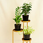 Welcome Good Luck To Home Plant Stand