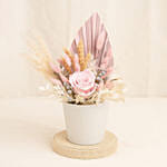 Graceful Pink Preserved Flower Vase