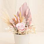 Graceful Pink Preserved Flower Vase