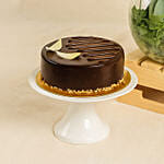 Forest Breeze Flowers Arrangement and Cake Combo