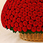 800 Red Roses Basket