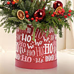 Christmas Glow Flowers Arrangement