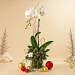 Willow Valley Christmas Arrangement