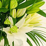 Lilies Happiness Arrangements