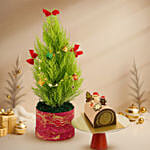 Festive Cupressus & Chocolate Log Cake 400gm