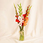 Gladiolus Charm Arrangement