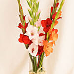 Gladiolus Charm Arrangement
