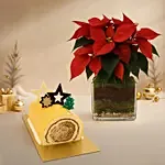 Poinsettia Plant with Mango Passion Log Cake