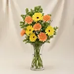 Pleasant Gerberas Flowers Vase