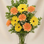 Pleasant Gerberas Flowers Vase