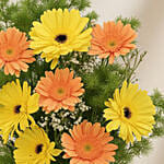 Pleasant Gerberas Flowers Vase
