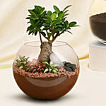 Bonsai Plant and Money Plant in Glass Bowl