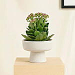 Orange Kalanchoe in Designer Vase