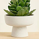 Orange Kalanchoe in Designer Vase