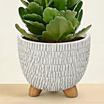 Pink Kalanchoe in Designer Pot