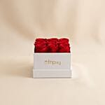 Preserved 9 Roses Box VDAY