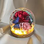 Preserved Flowers Dome VDAY
