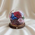 Preserved Flowers Dome VDAY