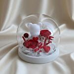 Forever Yours - Teddy Rose Dome
