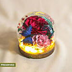 Preserved Flowers Dome VDAY