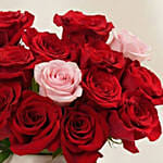 Blush of Love Roses for Vday