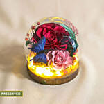 Preserved Flowers Dome For Valentine's