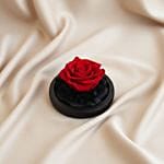 Valentine's Days Forever Red Rose in Glass Dome