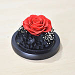 Valentine's Days Forever Red Rose in Glass Dome