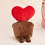 Valentines Roses Elegance Combos