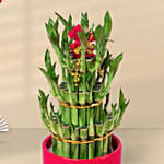 3 Layer Bamboo In Chinese New Year In Red Pot
