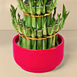 3 Layer Bamboo In Chinese New Year In Red Pot