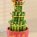 3 Layer Bamboo In Chinese New Year Theme Pot