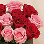 Roses Blush for Valentines Day