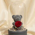 Bluetooth Speaker Preserve Rose Teddy Dome