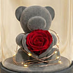 Bluetooth Speaker Preserve Rose Teddy Dome