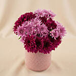 Radiant Purple Chrysanthemum Vase Arrangement for Her