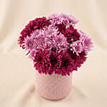 Radiant Purple Chrysanthemum Vase Arrangement for Her