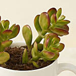 Adorable Masterpiece