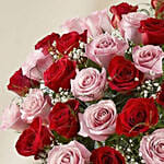 50 Vivid Red and Pink Roses In Vase