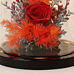 Forever Red Rose In Glass Dome