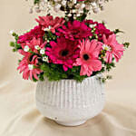 Mesmerised Pink Flowers