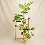 Reduce Noise And Air Pollution Plant Stand