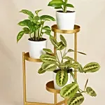 Reduce Noise And Air Pollution Plant Stand