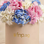 Hydrangeas Flower Box Arrangement