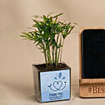 Doctor Desktop Essentials Gift Set